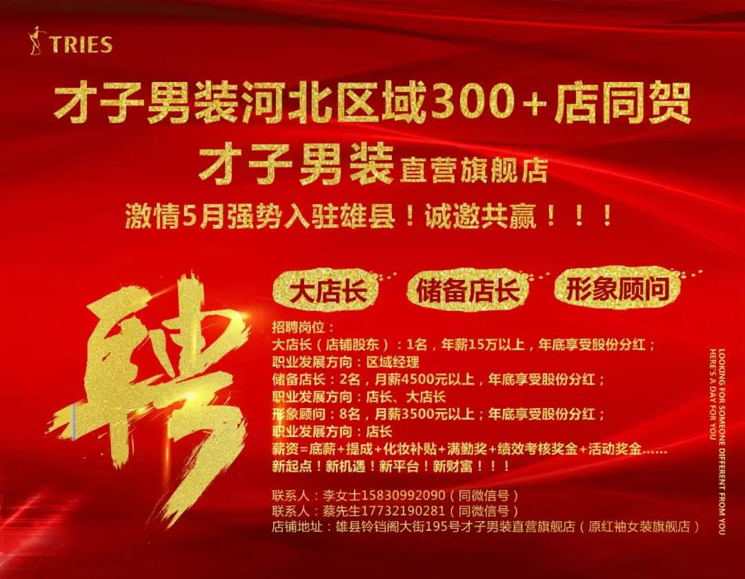 河北雄县招聘最新信息