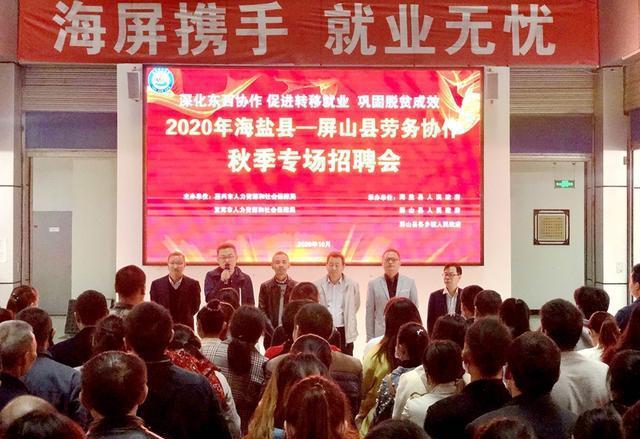 海盐最新招聘信息概览，最新岗位与求职指南