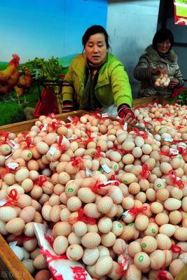 河北鸡蛋最新价格动态，学习成长中的自信与成就感之路