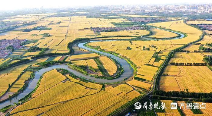 德州运河两岸最新动态