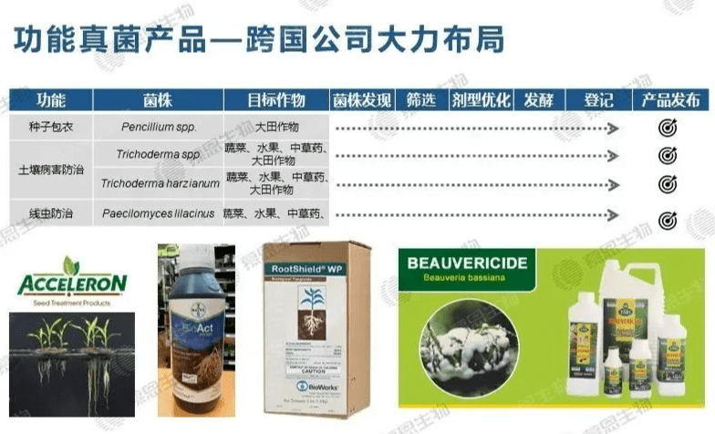 技术服务 第336页