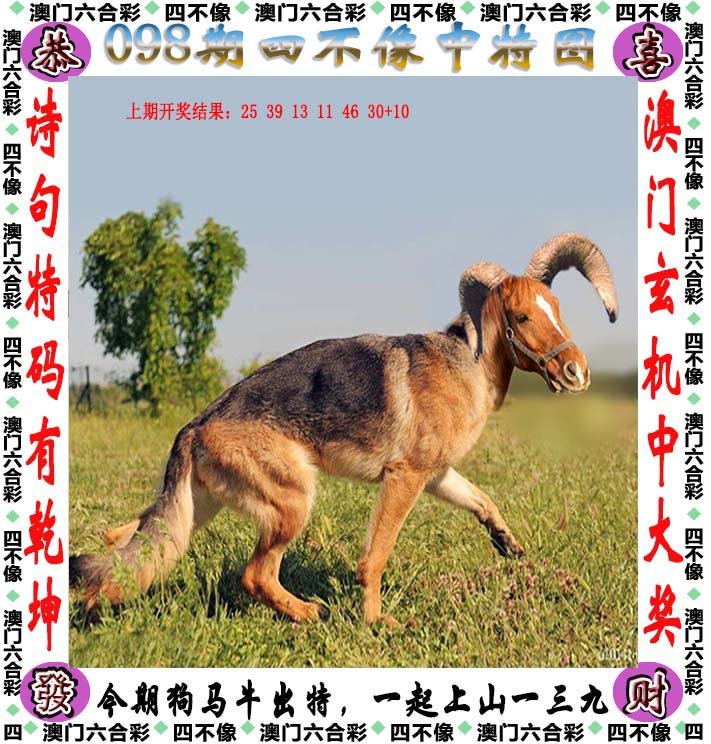 2024新奥正版资料四不像,专业解读评估_PFN83.984游戏版