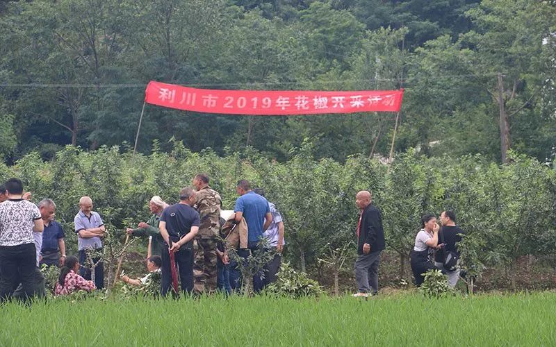 谋道镇最新消息