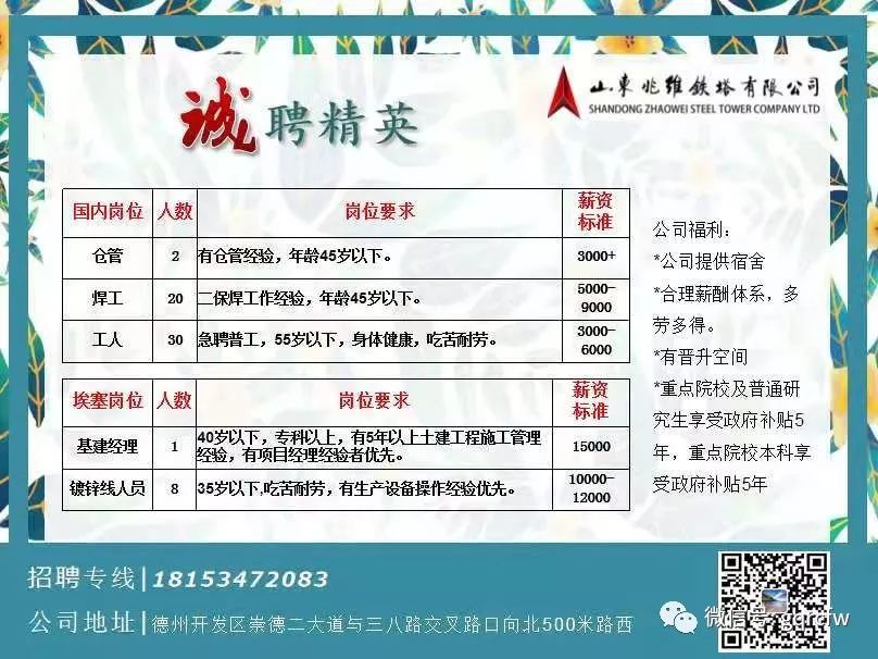 济南样衣最新招聘信息