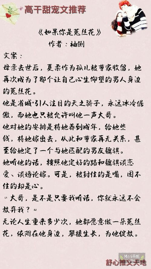 最新小说p