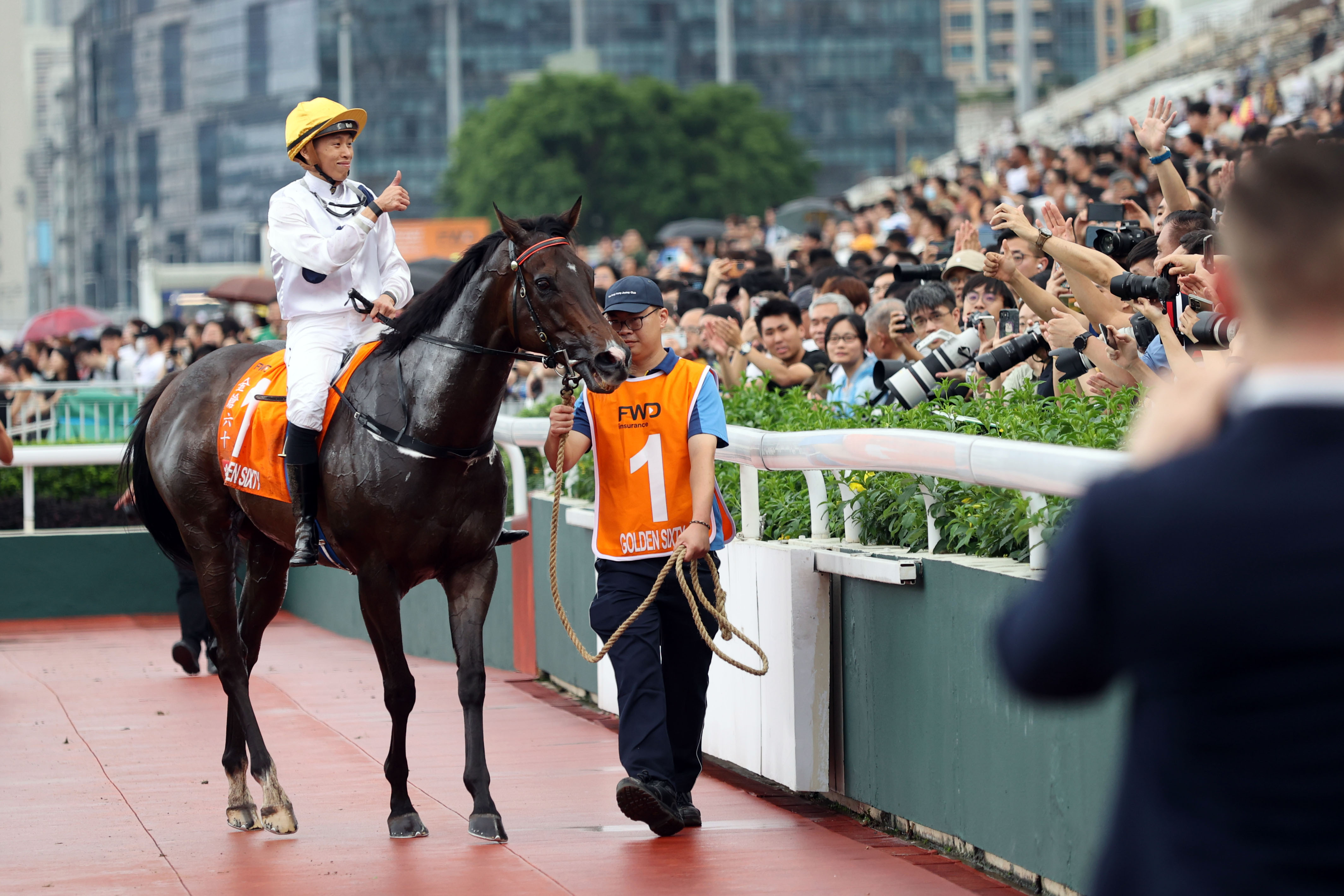 2024香港赛马全年免费资料,行动规划执行_多维版7.772