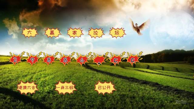 2024澳门今晚开奖记录,释意性描述解_高级版44.350