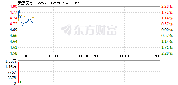 天原集团股票行情最