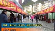 河池金城江最新资讯