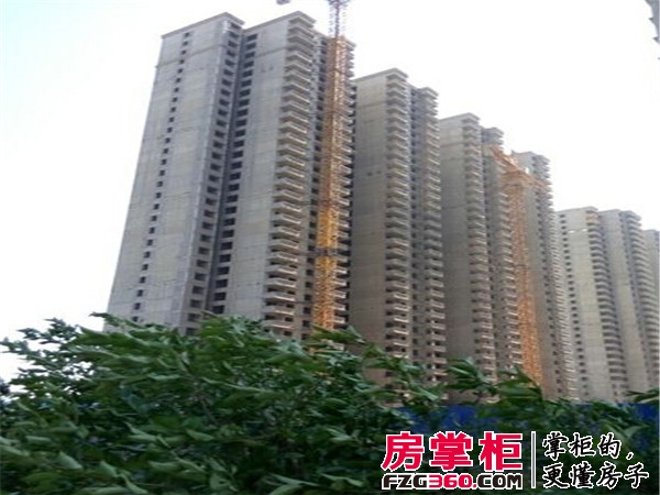 大魏明都最新资讯