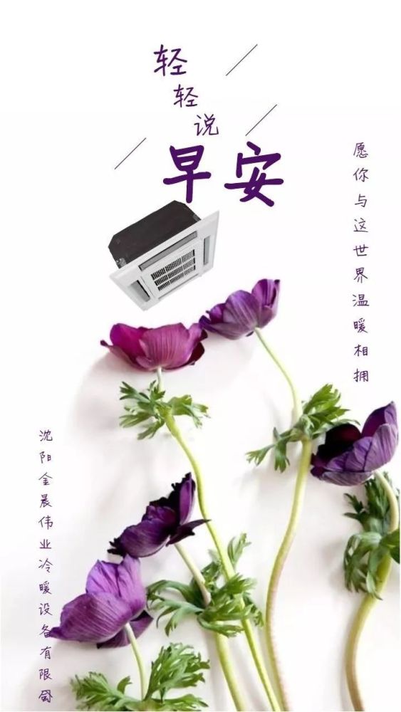 最新早安美图