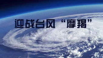 最新任务完成与技能学习步骤指南启动指南