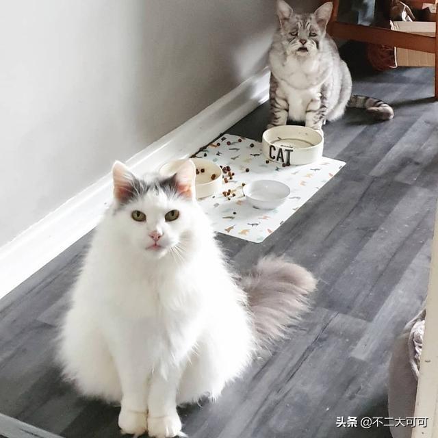 天生吃货：美食侦探新篇