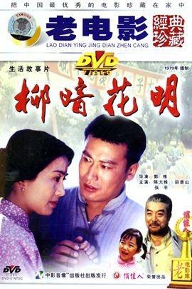 柳暗花明电影