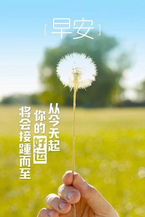 每日清晨正能量语句