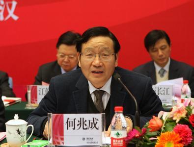 华中电网最新领导班子