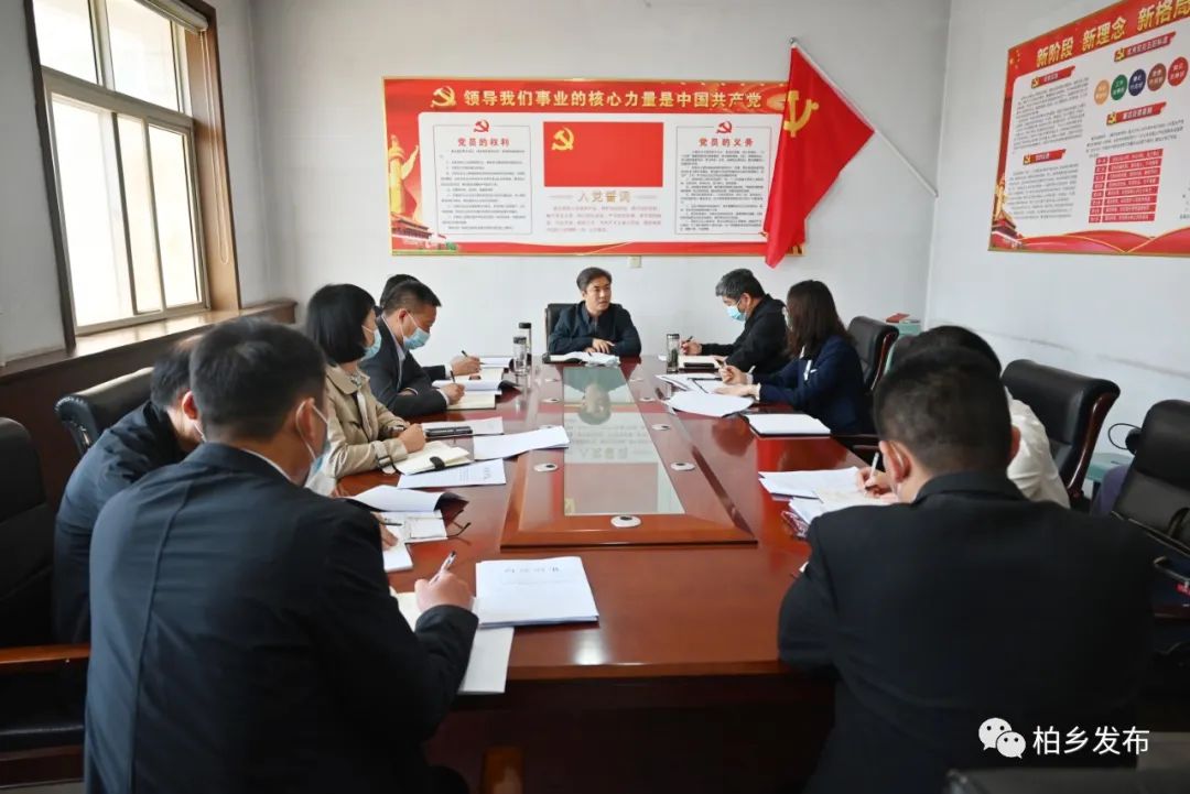 柏乡政府最新动态，最新新闻报道汇总