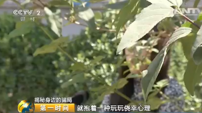 丰果游天下最新动态