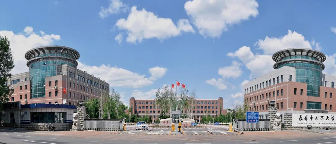 长春最新招聘信息深度解析与多维度观点阐述