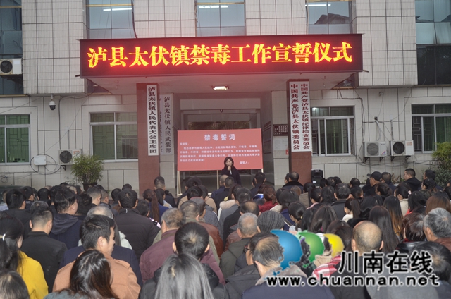 泸县太伏最新新闻，学习之光照亮未来之旅，自信与成就感的征程