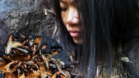 大侦探之单挑荒野最新探秘，小巷深处的神秘之旅