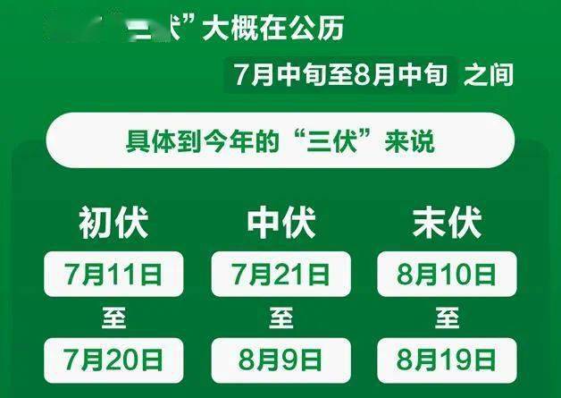 久久热最新网站揭秘，小巷隐藏宝藏的独特小店故事